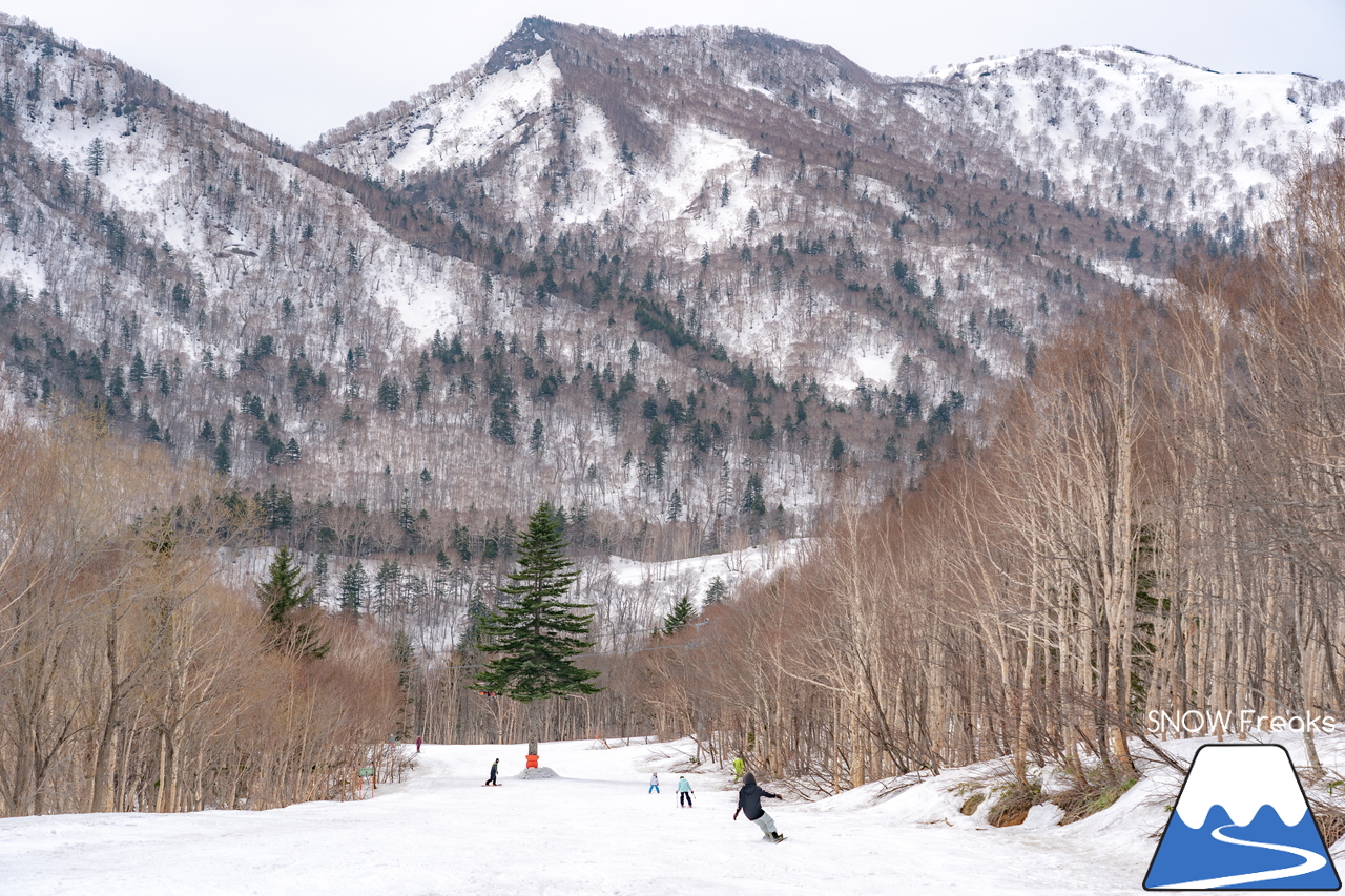 札幌国際スキー場｜2022年のゴールデンウイークが開幕。さすが、KOKUSAI。5月目前にして、ほぼ全面滑走可能です(*^^)v